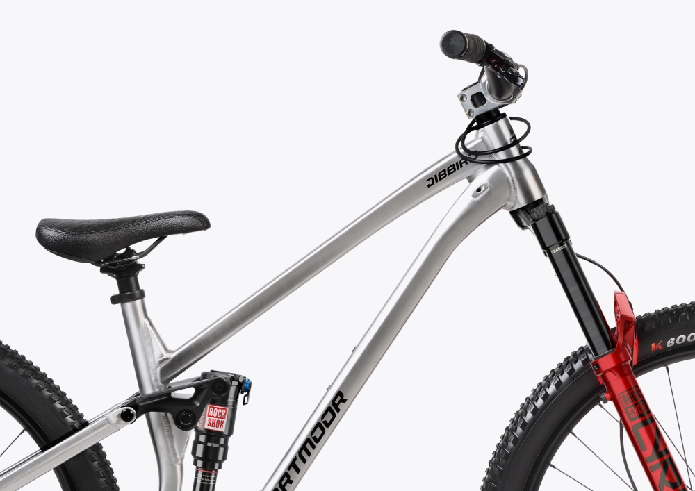 Bicicleta Dartmoor Jibbird Pro color plata